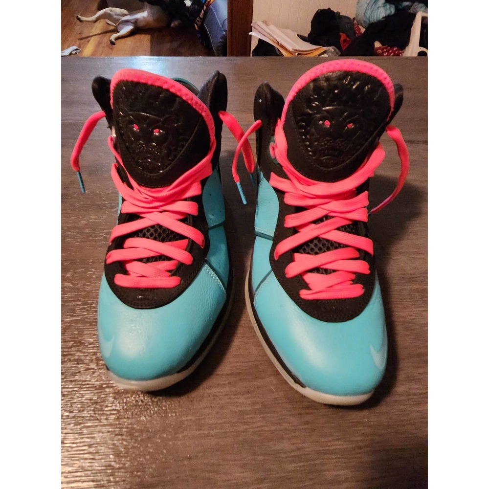 LeBron James 828 Nike men's size 10